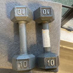 10 Lbs Dumbbells 