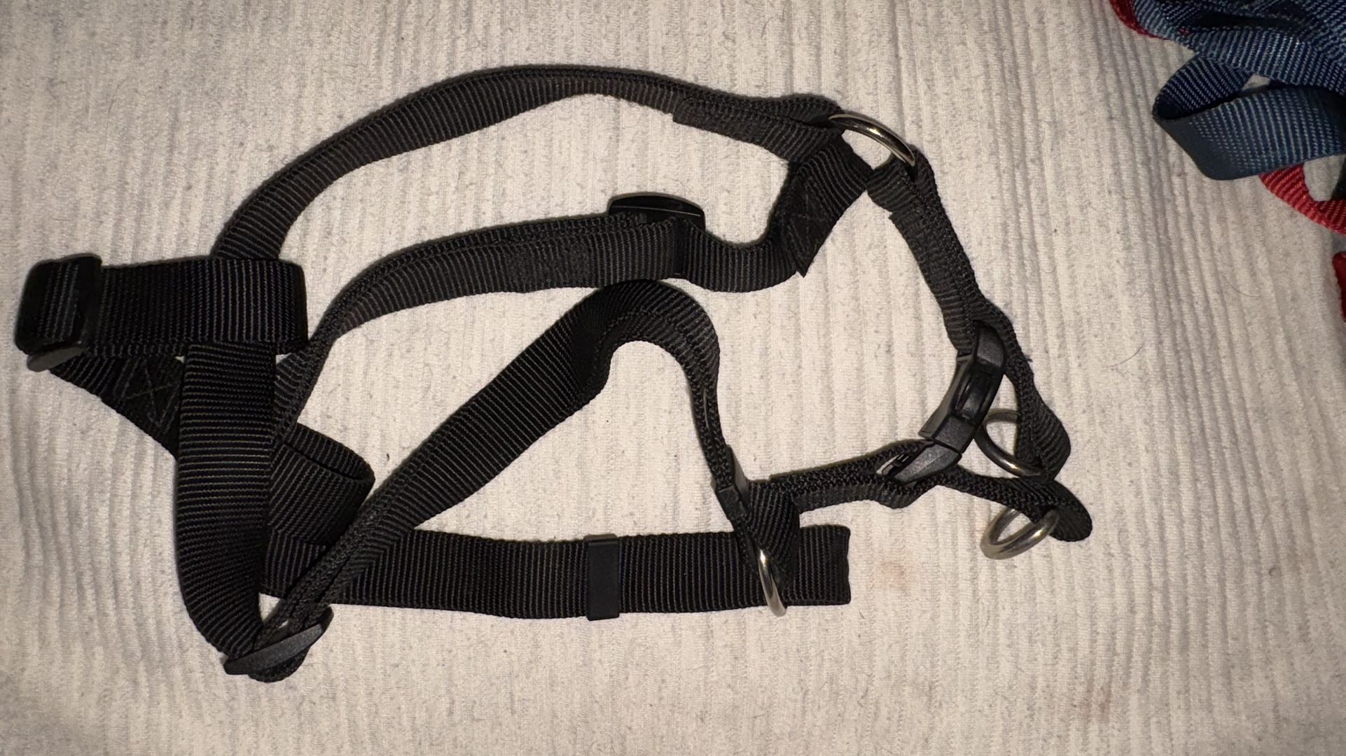 Black Dog Harness