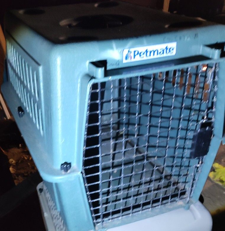 Pet Kennel