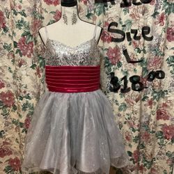 #126-Silver & Pink Mini Dress. Brand Name: No Tags. Size Large.