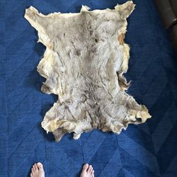 Mink Animal Leather Skin Cowhide Rug Leather Natural Hair on Cow Hide Carpet Skin GENUINE BROWN XXLARGE