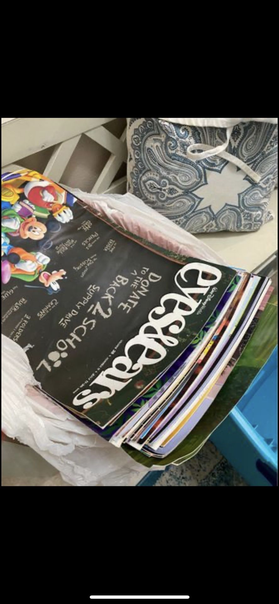 Eyes And Ears From Disney World