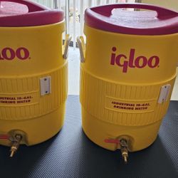 Igloo Home Brewing Starter Kit