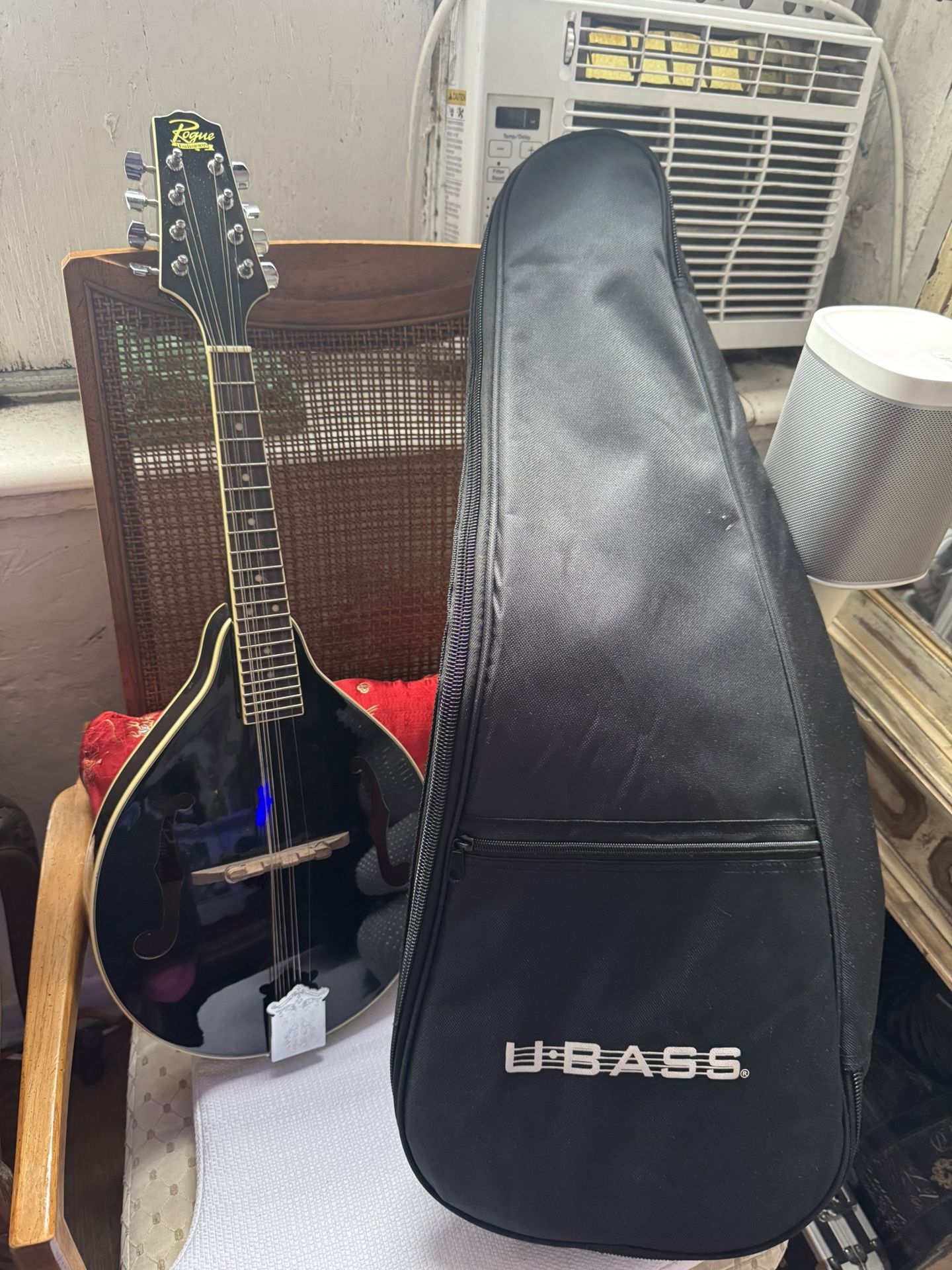 Rogue RM-100A A-Style Mandolin Black