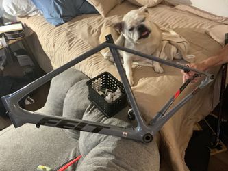 FELT FRD RD RACING 2024 TOP-TIER CARBON FRAME