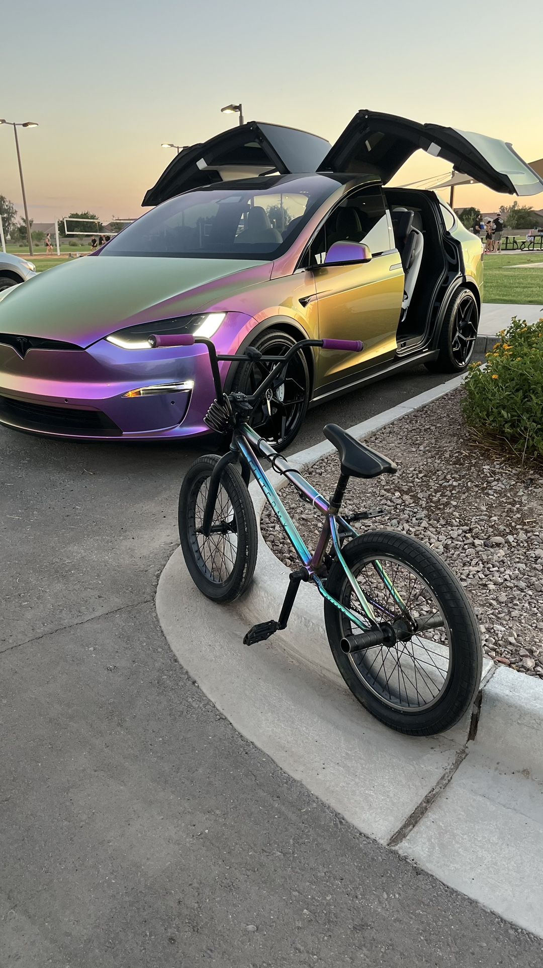 Elite BMX Destro 20”
