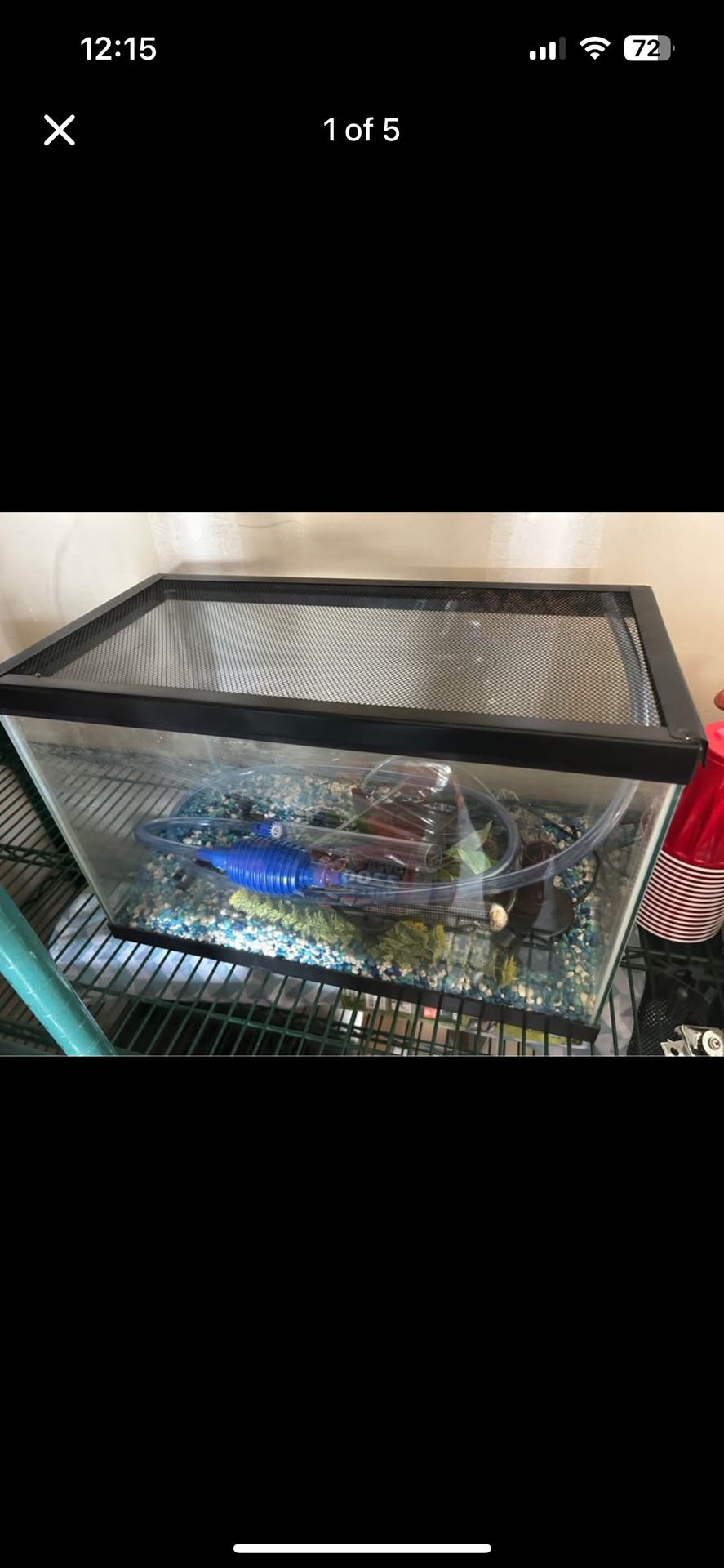 Aquarium Set Up 