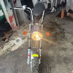 2000’s Model. Ice Bear Champion. 