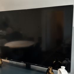 65 Inch Insignia TV with Stand 350