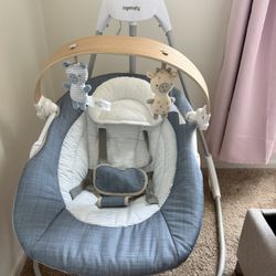Baby Swing