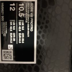 Kobe’s 8 Protro What The