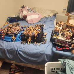 Wrestling Figure Lot