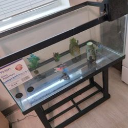 Aquarium  Tank 