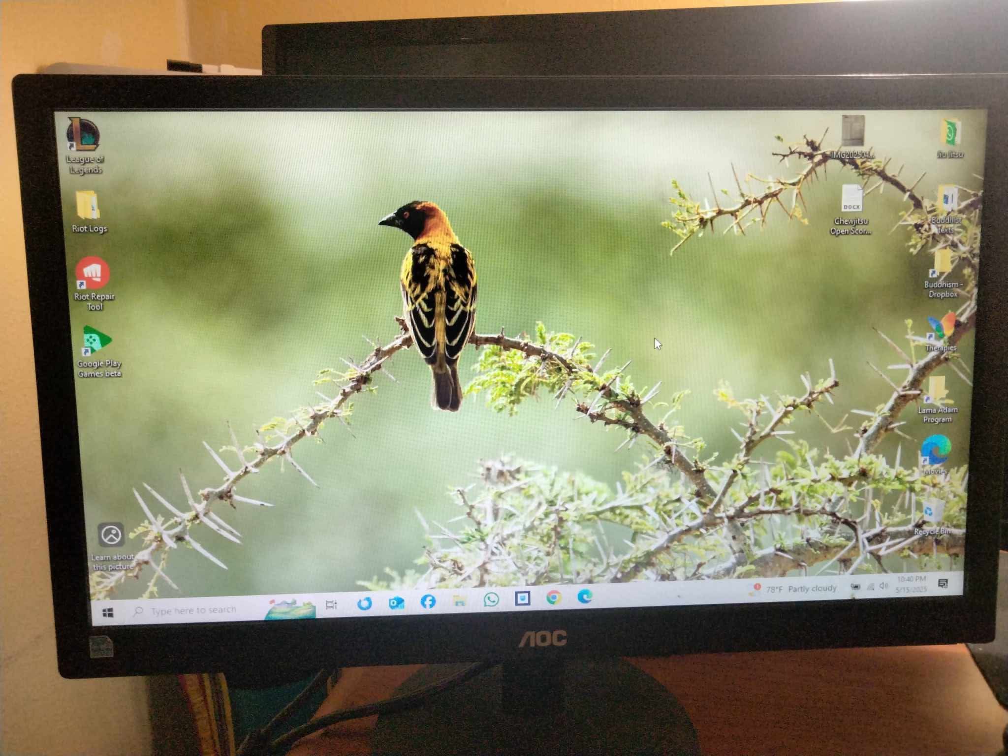 Monitor