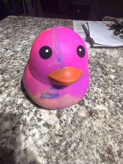 squeeze duck