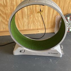 Cat Treadmill 