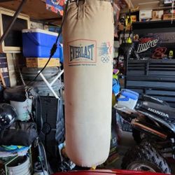 Everlasting  Heavy punching bag