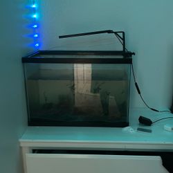 Old Fish Tank 20 Gal With Stuff
