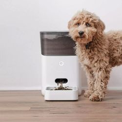 WiFi Pet Feeder