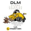 DLM 