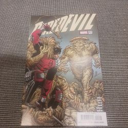 Daredevil #23 Marvel 1st Print 2025 JULY Cover A