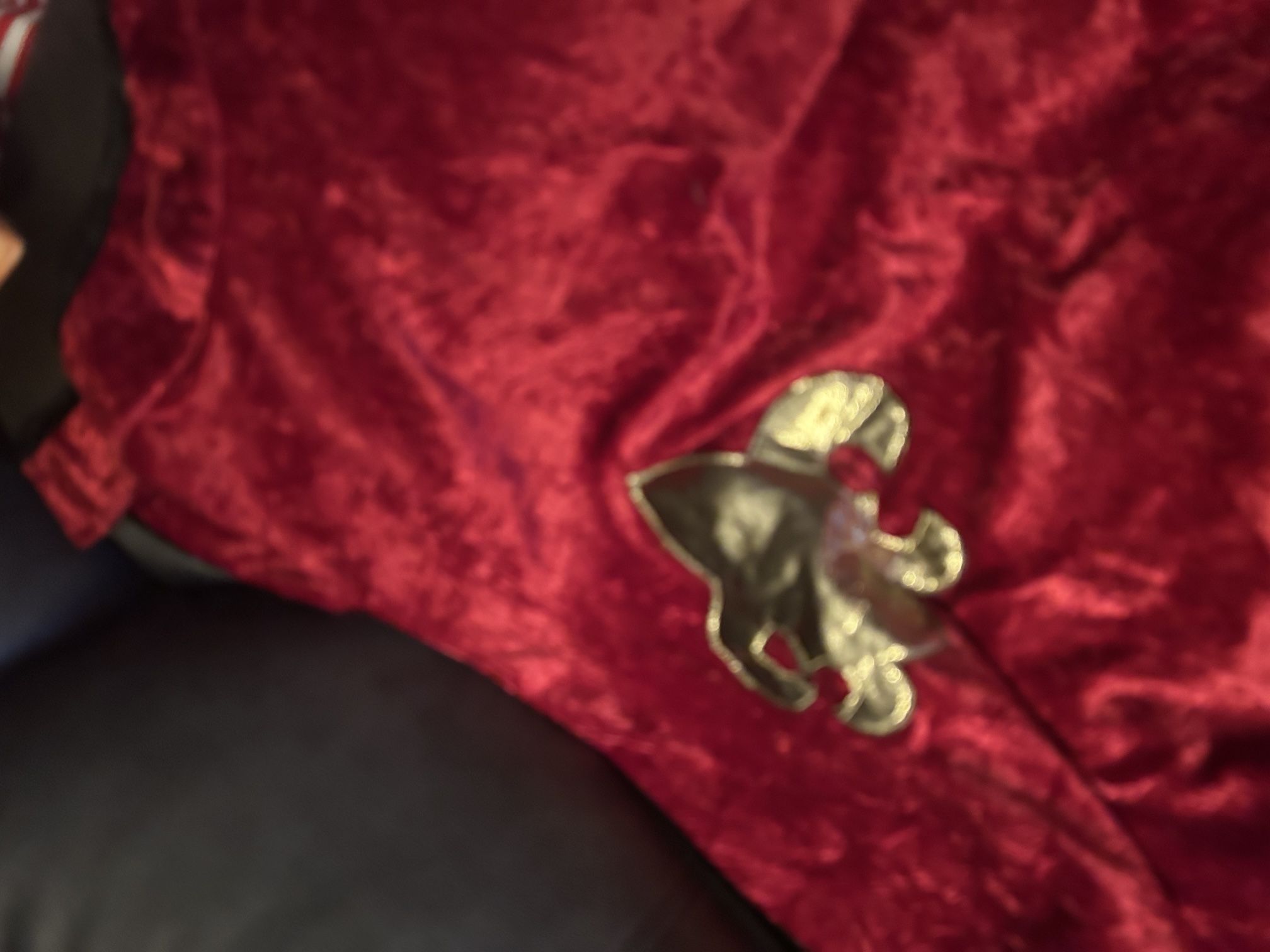 Halloween Red King Cape