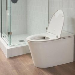 American Standard White Toilet  1 Piece 