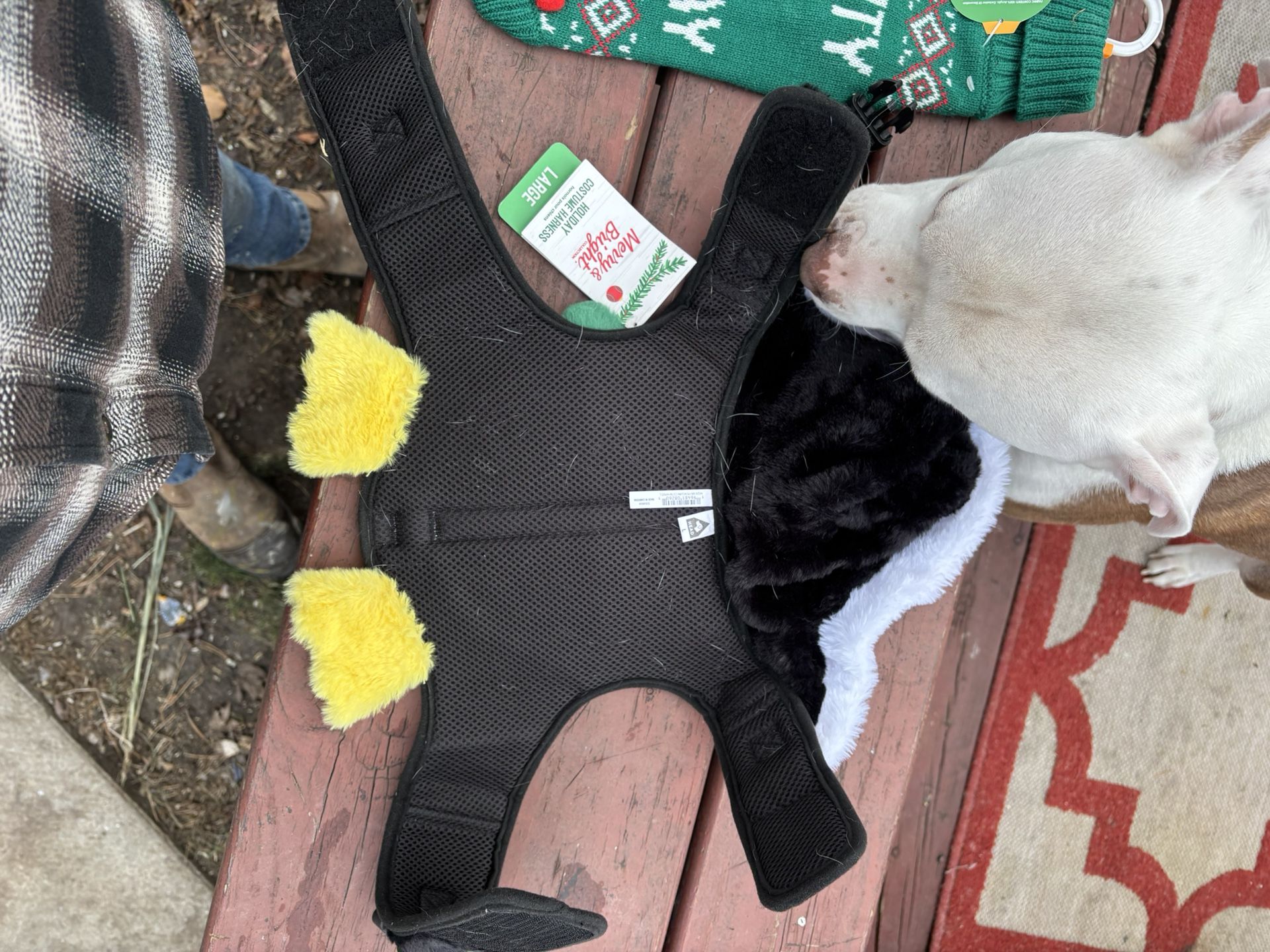New Dog Items