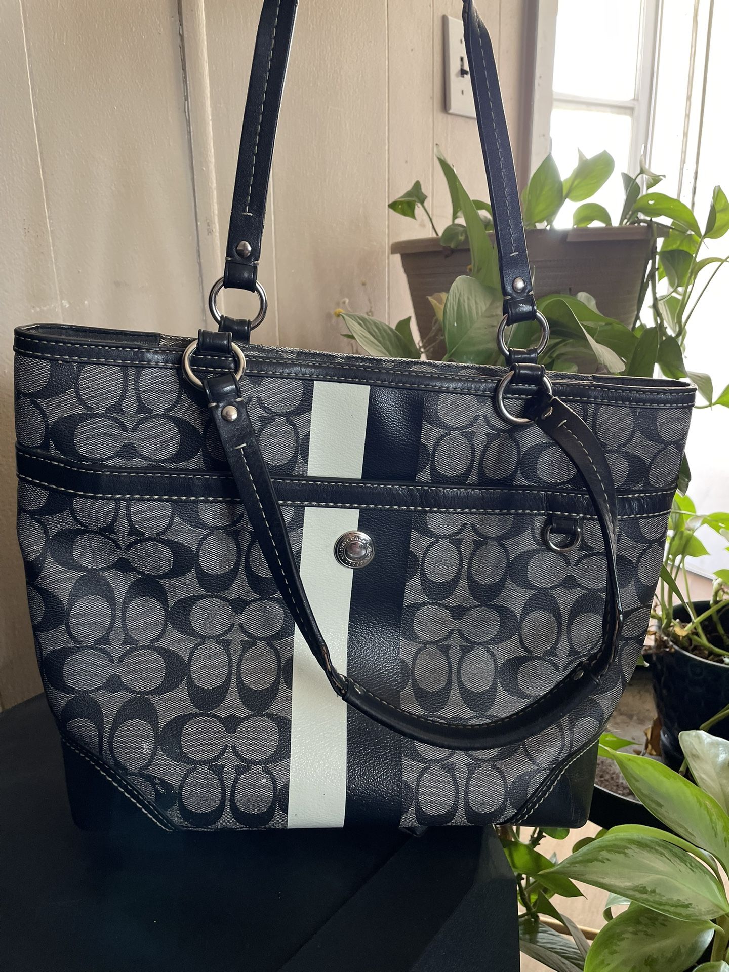 black coach purse