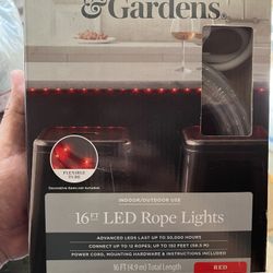 Red LED’s Strip