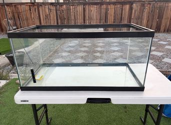 55+ gallon fish tank