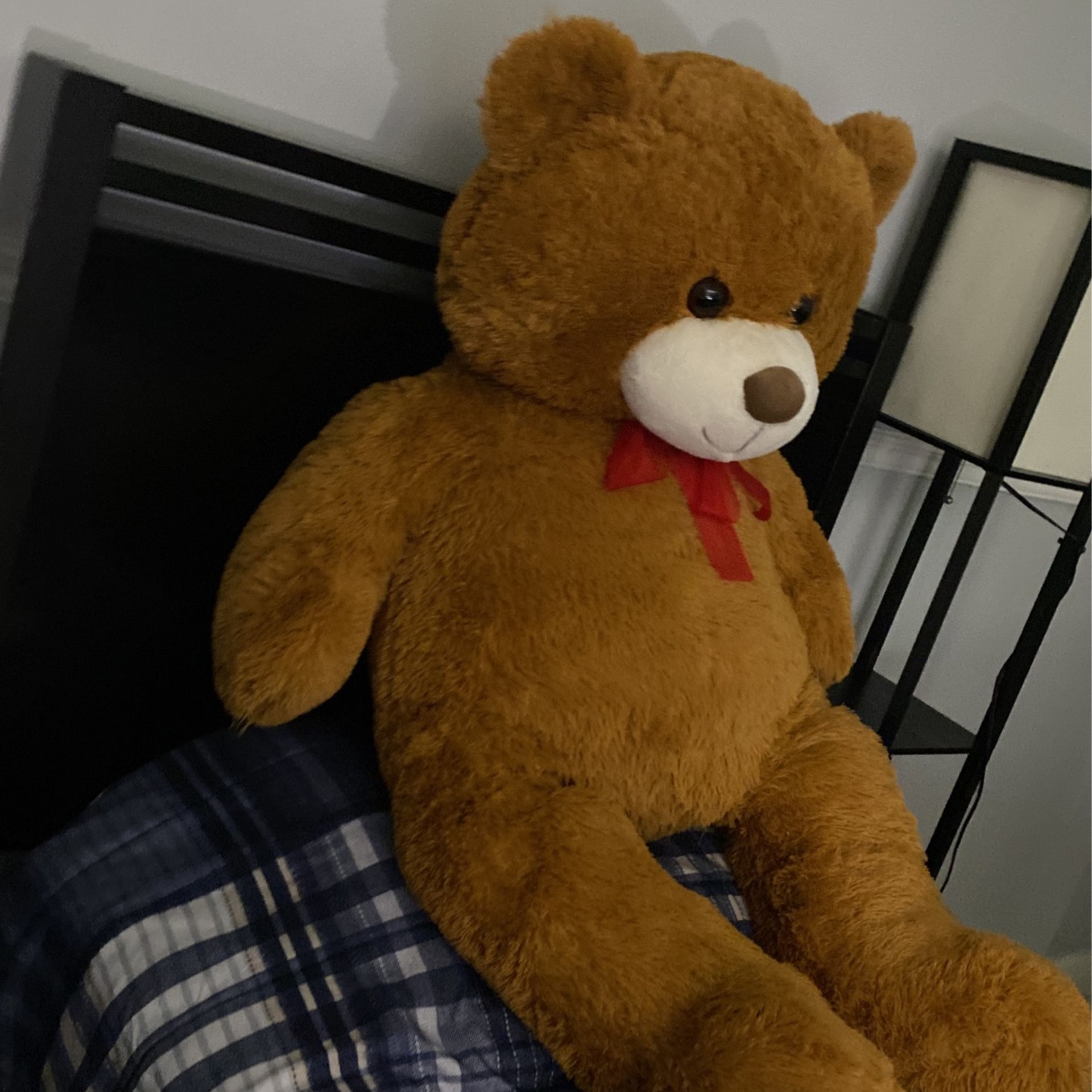 Big Teddy Bear 🧸