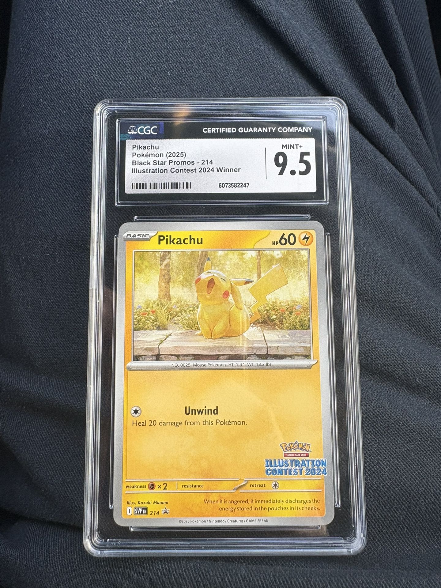 Pikachu Illustration Contest Winner 2024