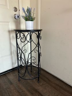 Plant holder