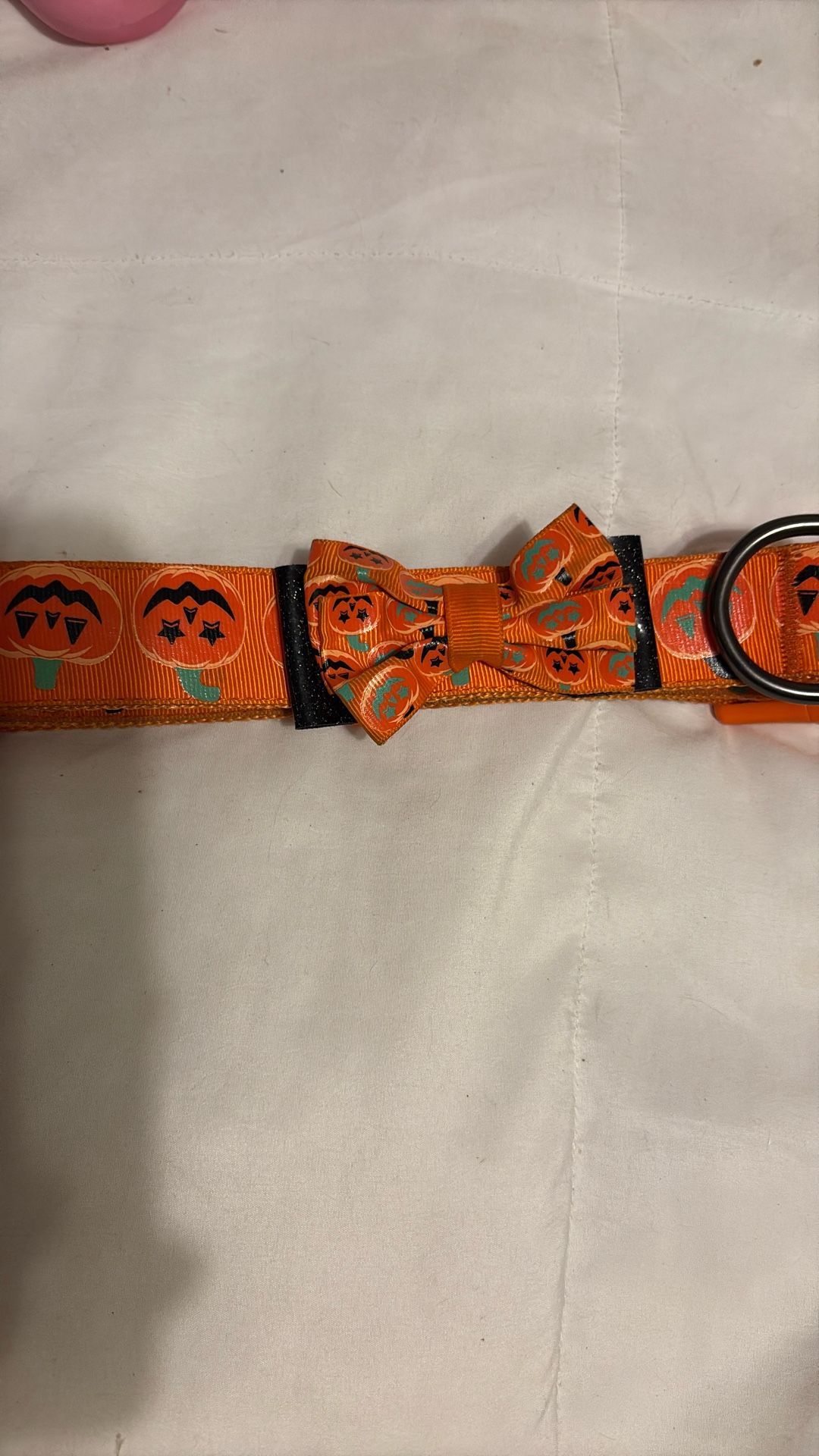Dog Halloween Collar