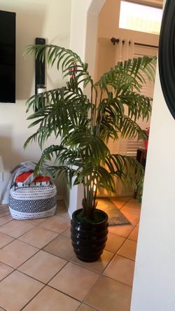 6 Ft POTTED PALM DECOR