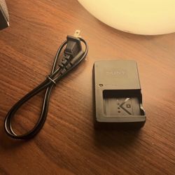Sony BC-CSXB Camera Battery Charger for Sony RX100