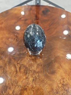 Fossil Of Orthoceras 