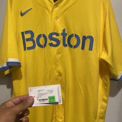 David Ortiz Authentic City Connect Jersey Sz48 