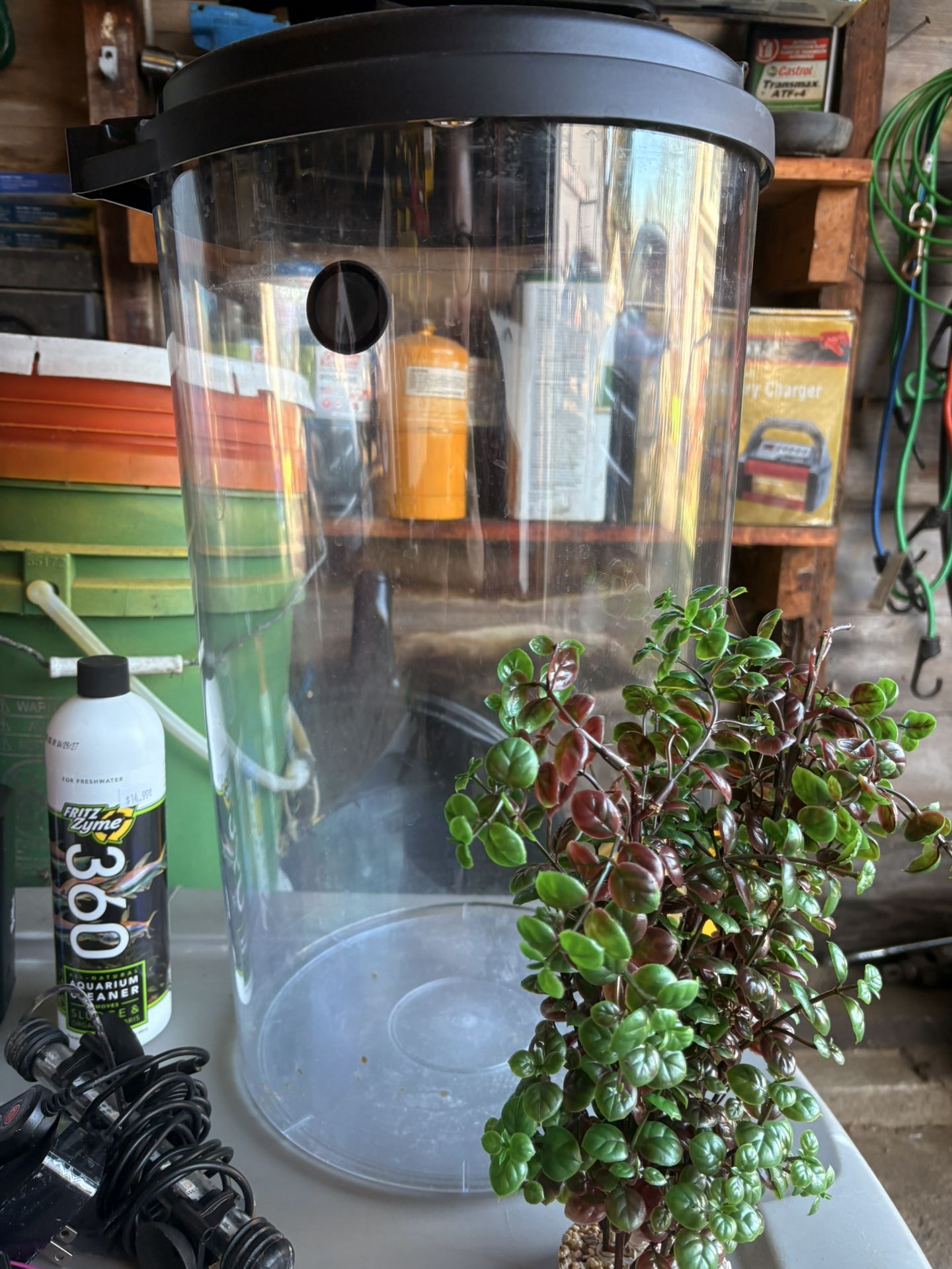 Plastic 5 Gallon Fish Tank