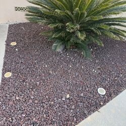 Red Lava Rocks Garden Plants Decor