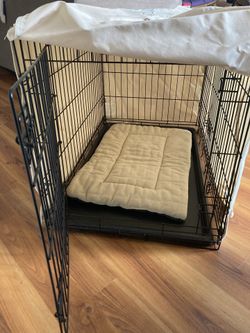 Dog Supplies