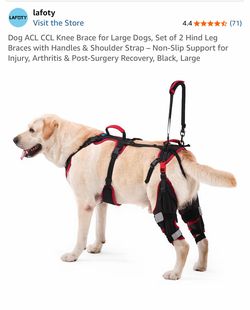 Dog knees Brace