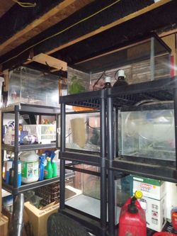 Fish Tanks Assorted Sizes And Supplies 