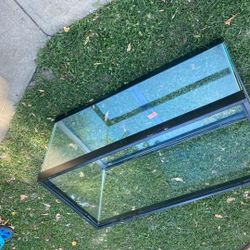Free Aquarium