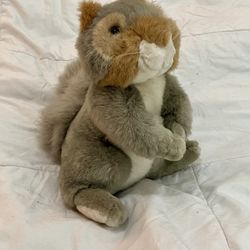 12” Vintage 1992 Ranger Rick Plush Squirrel - Like New