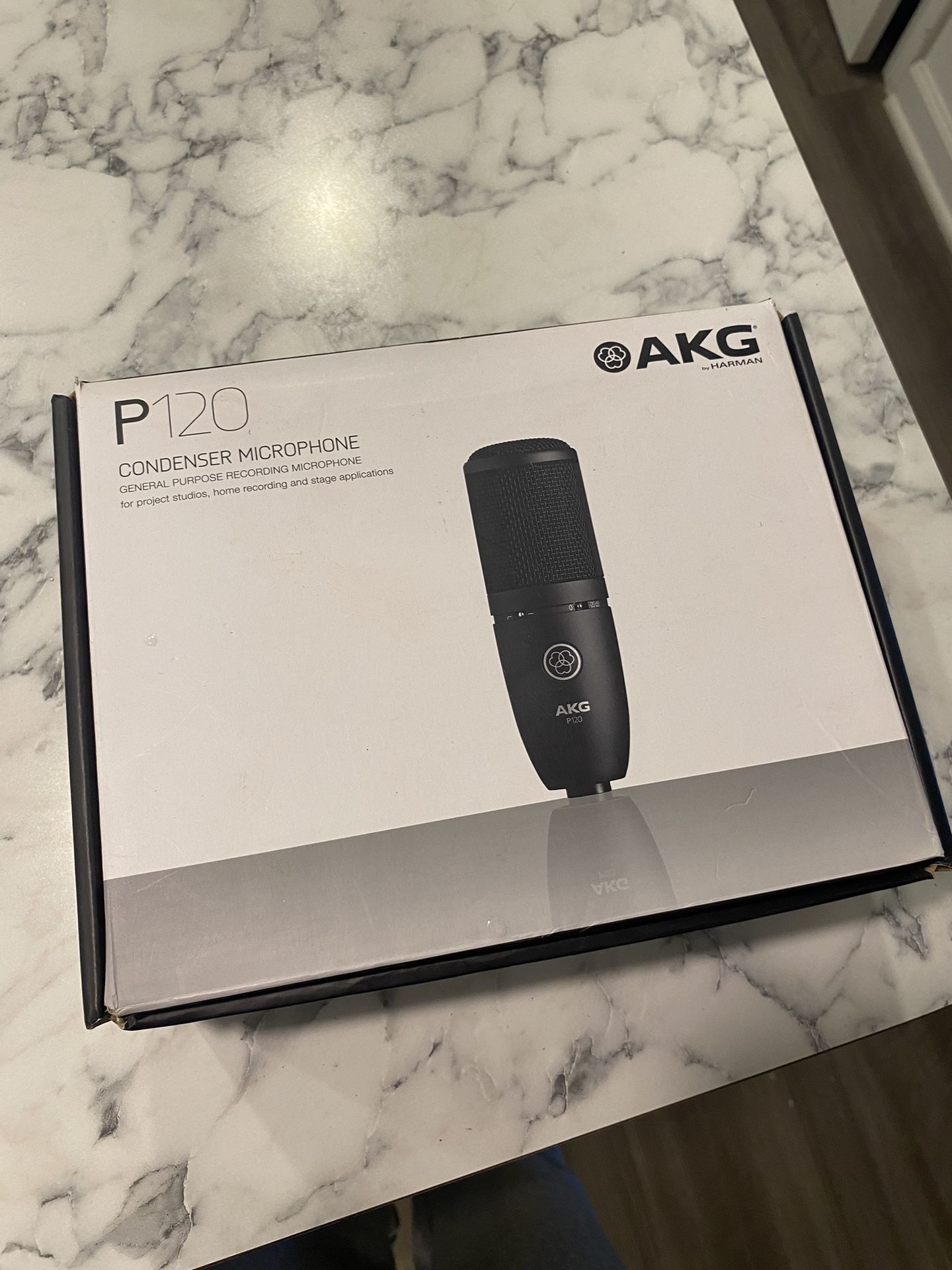 AKG P120 MIC