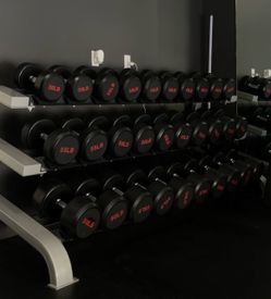 Dumbbell Rack & Dumbbells (5-100lbs)