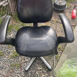 Salon/Barber Chair 