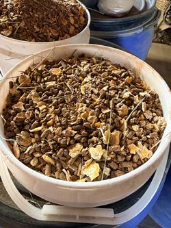 Feed Grains for your horses and livestock